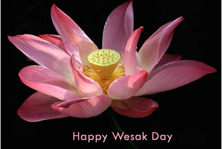 Library Closed for Vesak Day