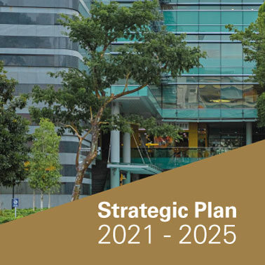  Strategic Plan 2021 - 2025