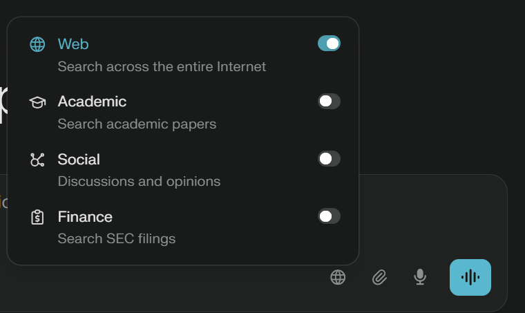 Perplexity search options