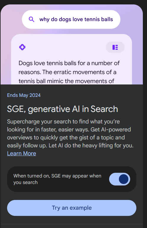 Switching onSGE, generative AI in Search on Google